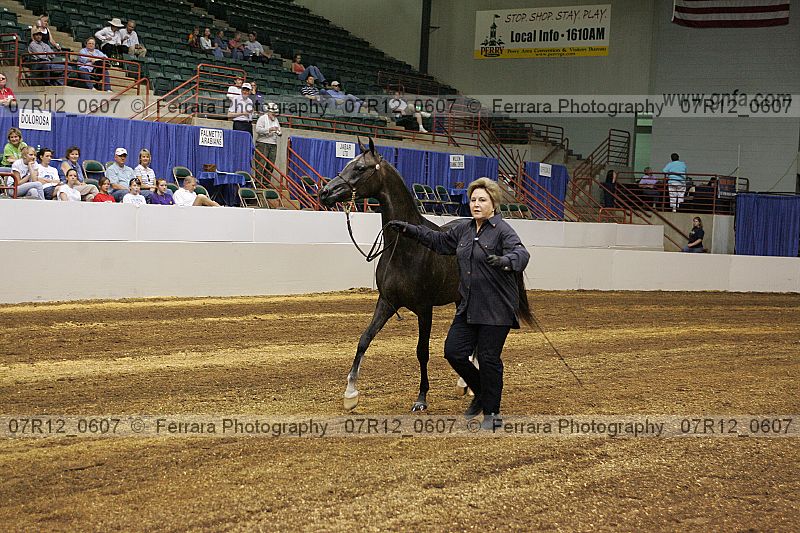 Proof 07r12_0607