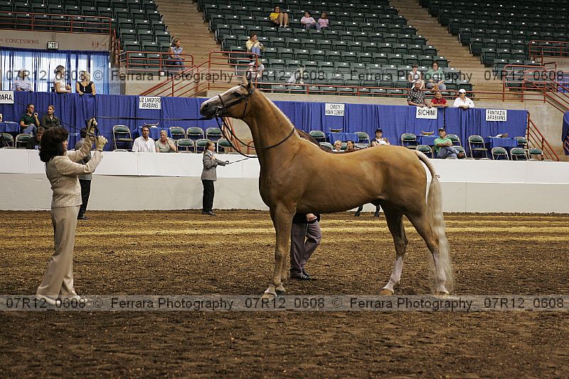 Proof 07r12_0608