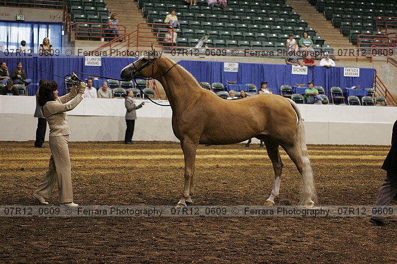 Proof 07r12_0609