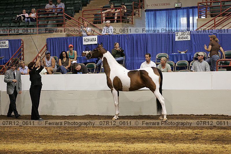 Proof 07r12_0611