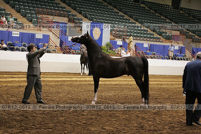 Proof 07r12_0613