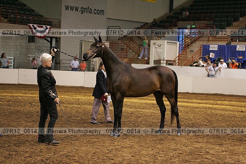 Proof 07r12_0614