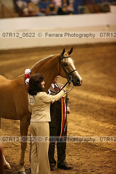 Proof 07r12_0622