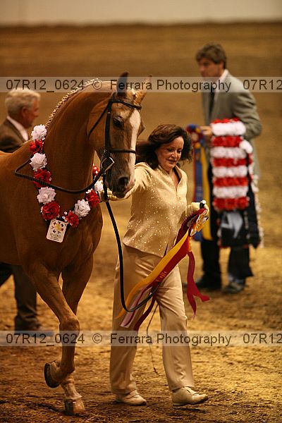Proof 07r12_0624