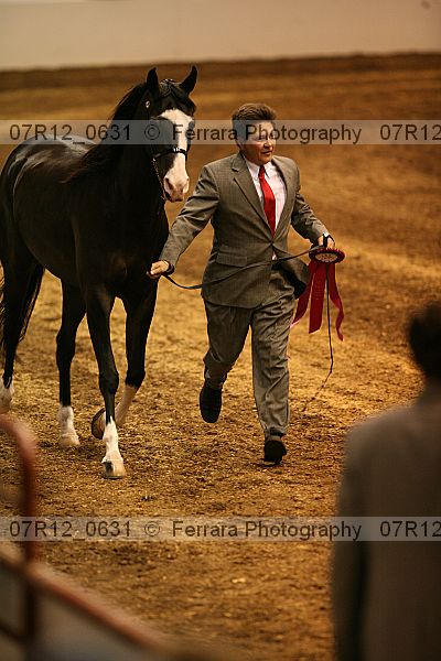 Proof 07r12_0631