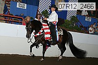 07r12_2466 proof