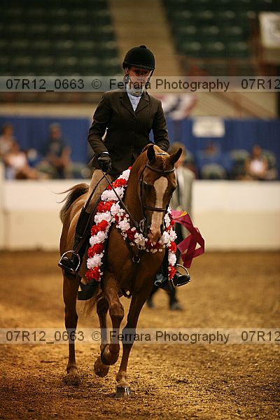 Proof 07r12_0663