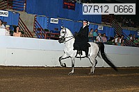 07r12_0666 proof