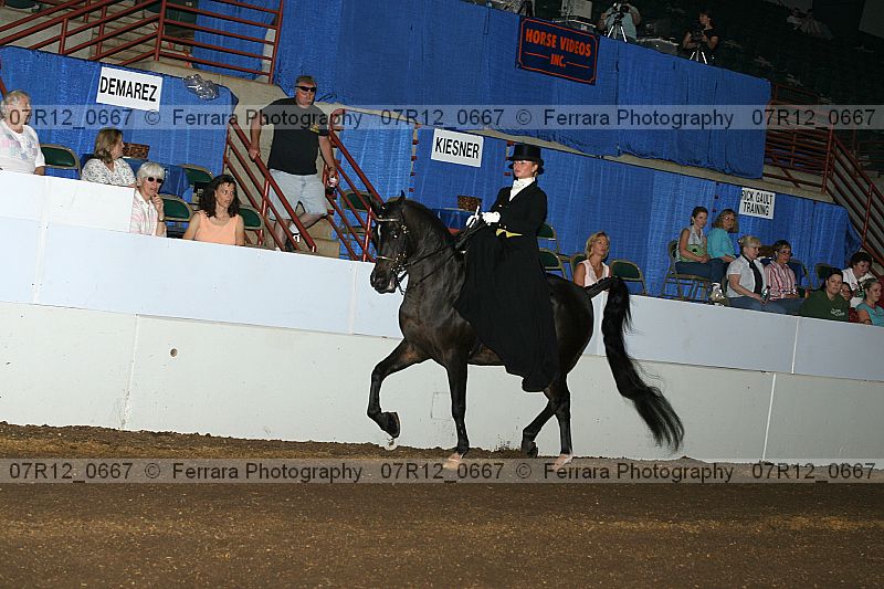 Proof 07r12_0667