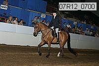 07r12_0700 proof