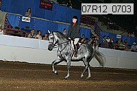 07r12_0703 proof