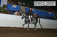 07r12_0707 proof