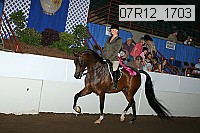 07r12_1703 proof