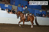 07r12_0729 proof