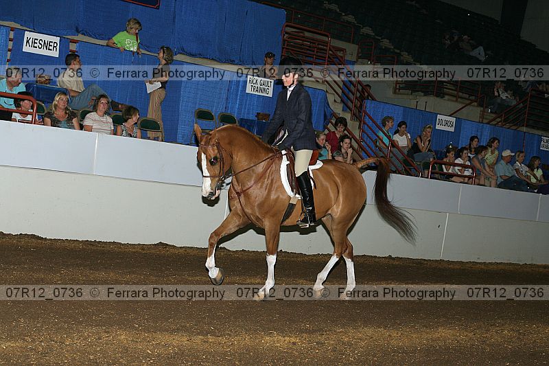 Proof 07r12_0736