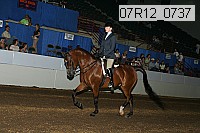 07r12_0737 proof