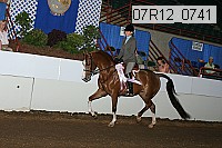 07r12_0741 proof