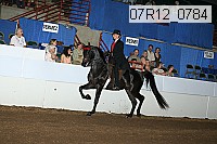 07r12_0784 proof