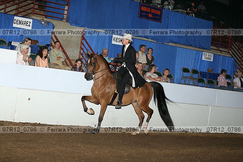 Proof 07r12_0786
