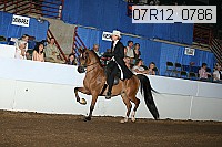07r12_0786 proof