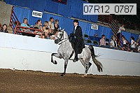 07r12_0787 proof