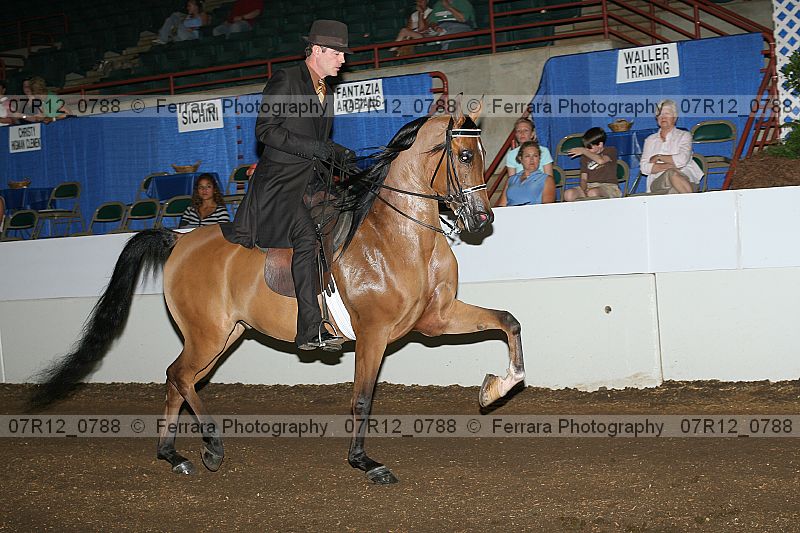 Proof 07r12_0788