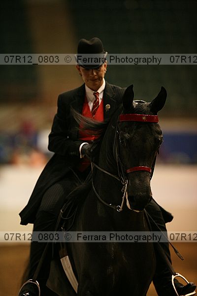 Proof 07r12_0803