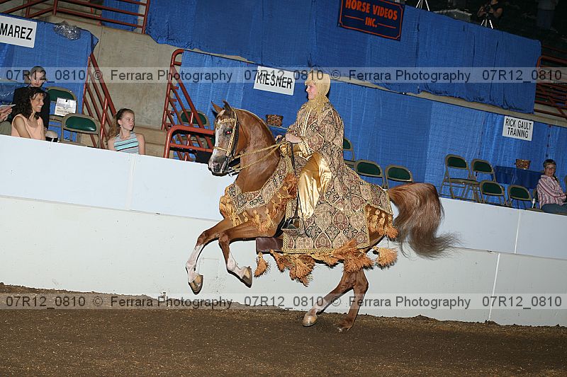 Proof 07r12_0810
