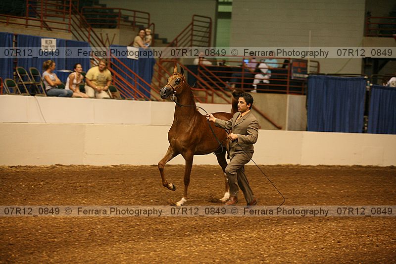 Proof 07r12_0849