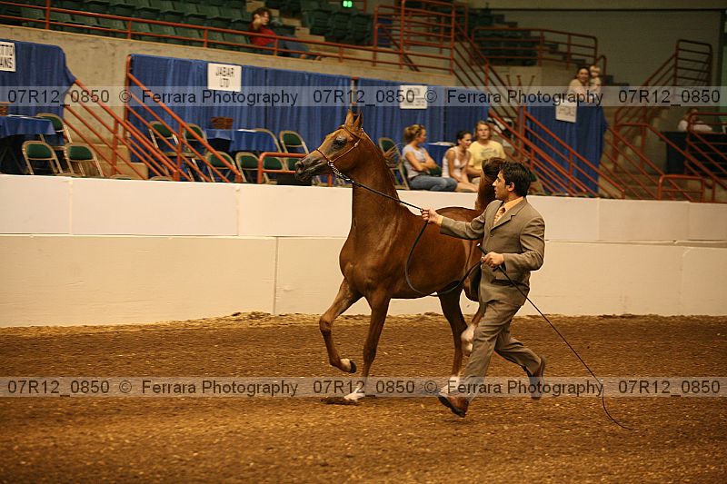 Proof 07r12_0850