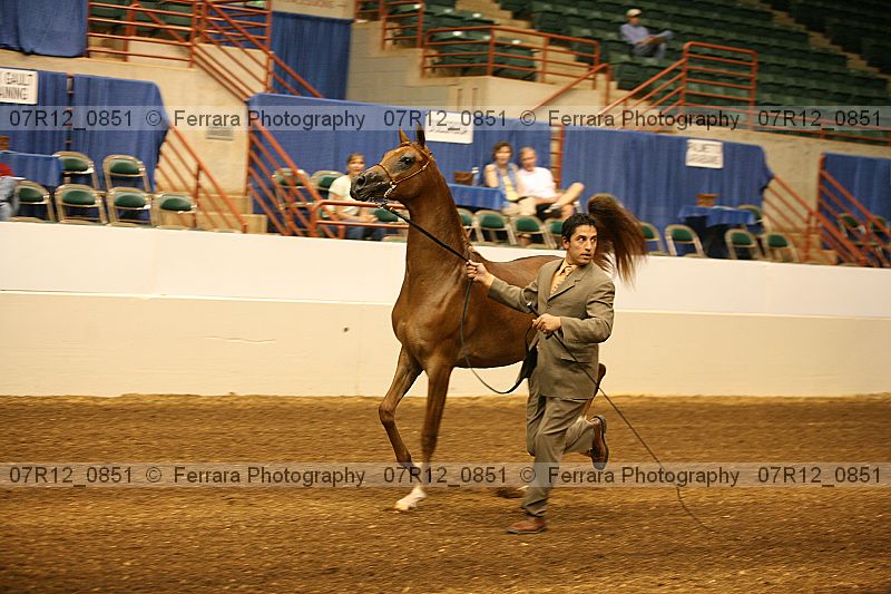 Proof 07r12_0851
