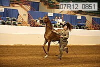 07r12_0851 proof
