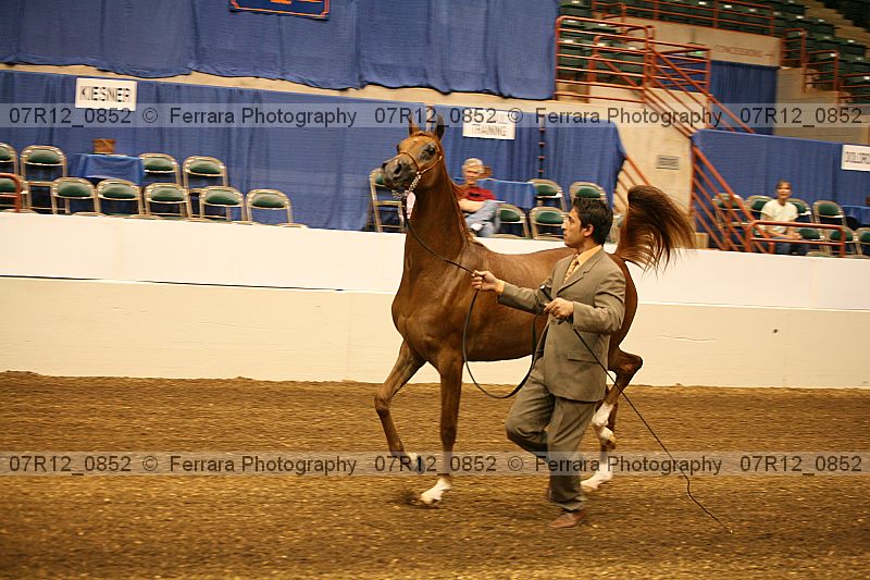 Proof 07r12_0852