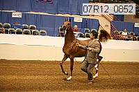 07r12_0852 proof