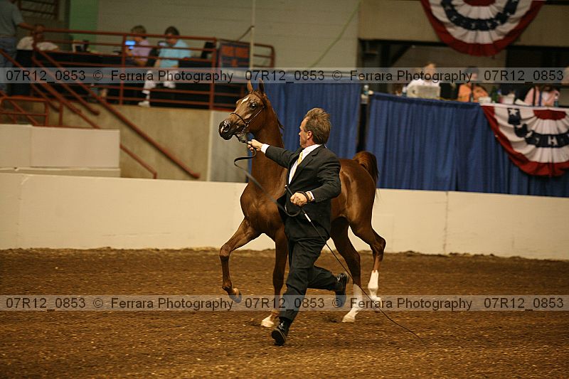 Proof 07r12_0853