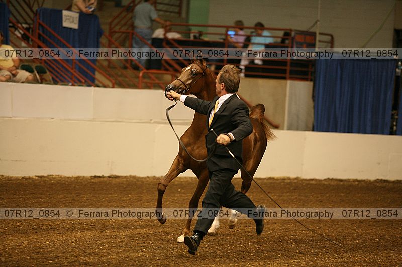 Proof 07r12_0854