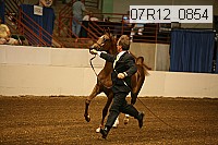 07r12_0854 proof