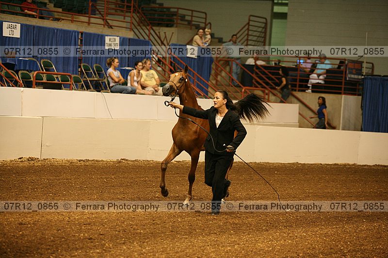 Proof 07r12_0855