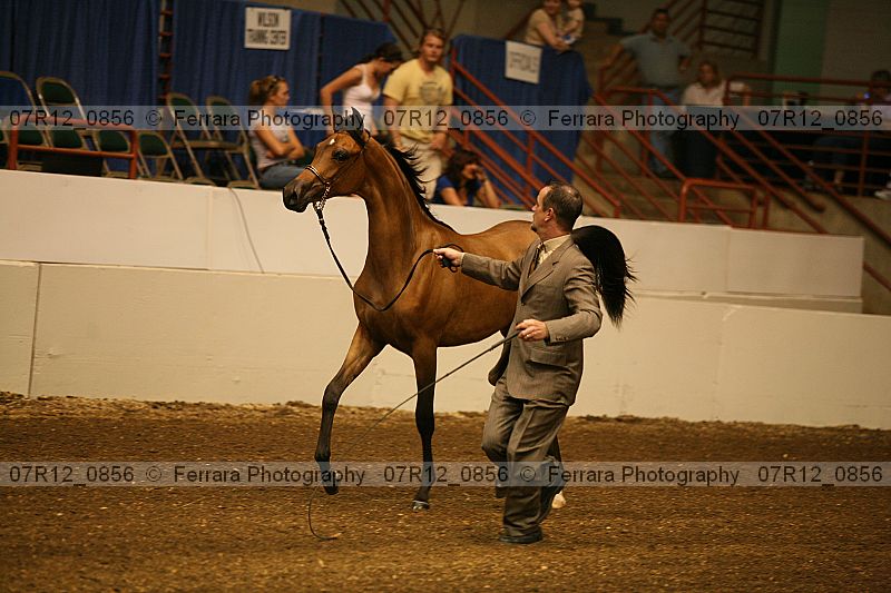 Proof 07r12_0856