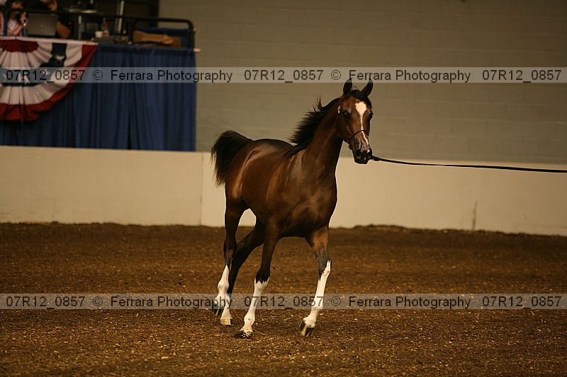 Proof 07r12_0857