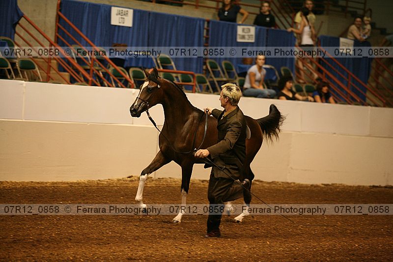 Proof 07r12_0858
