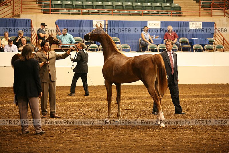Proof 07r12_0859
