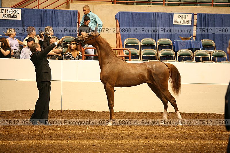 Proof 07r12_0860