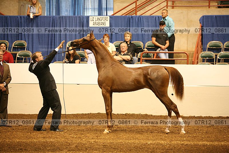 Proof 07r12_0861
