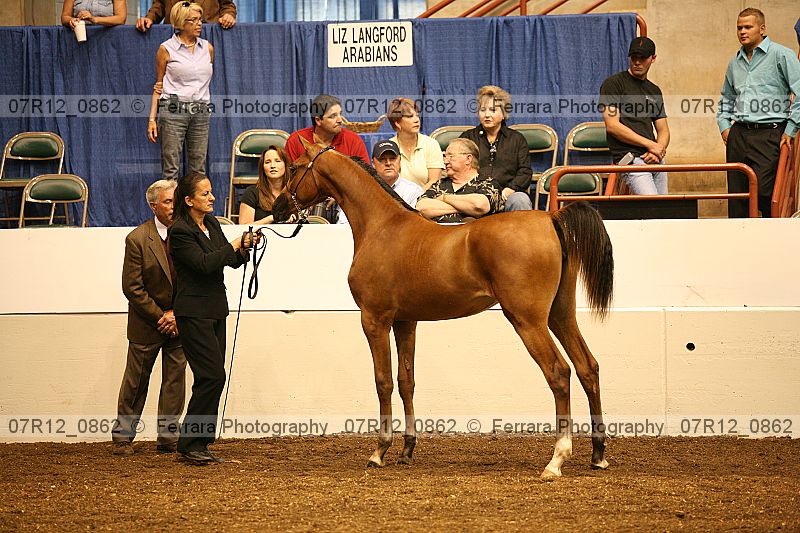 Proof 07r12_0862