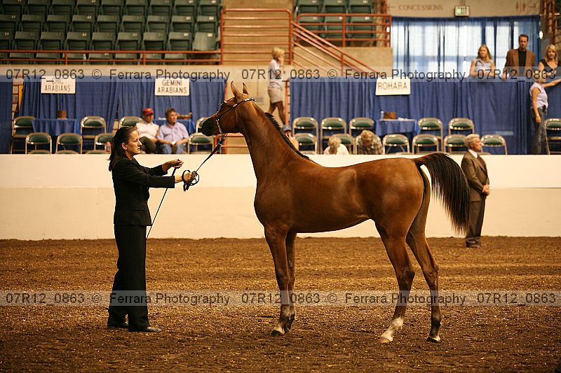 Proof 07r12_0863