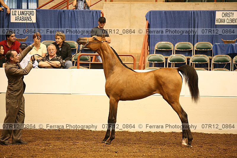 Proof 07r12_0864