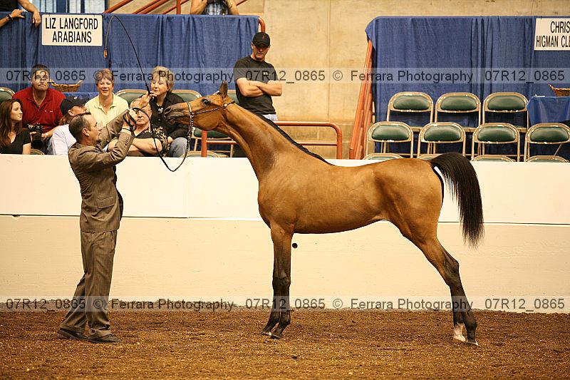 Proof 07r12_0865