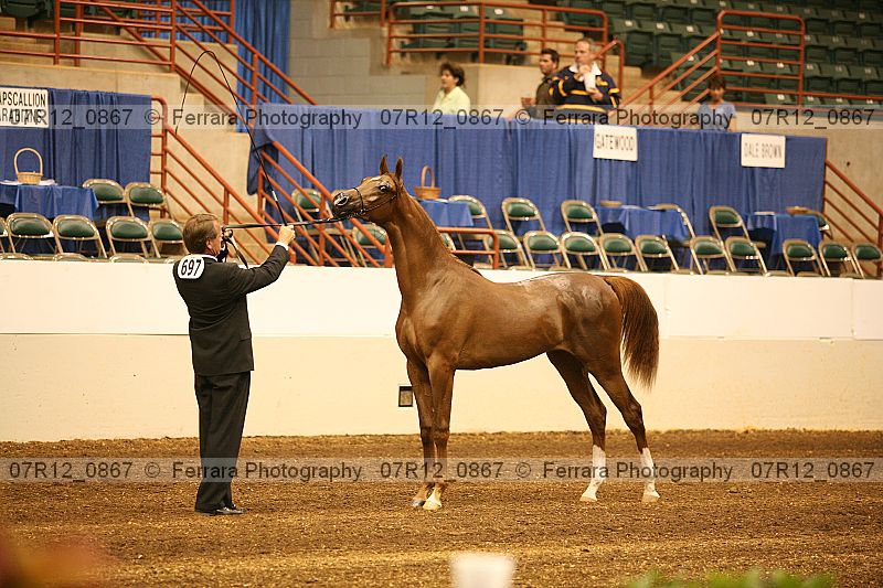 Proof 07r12_0867