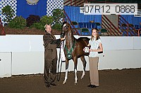 07r12_0868 proof